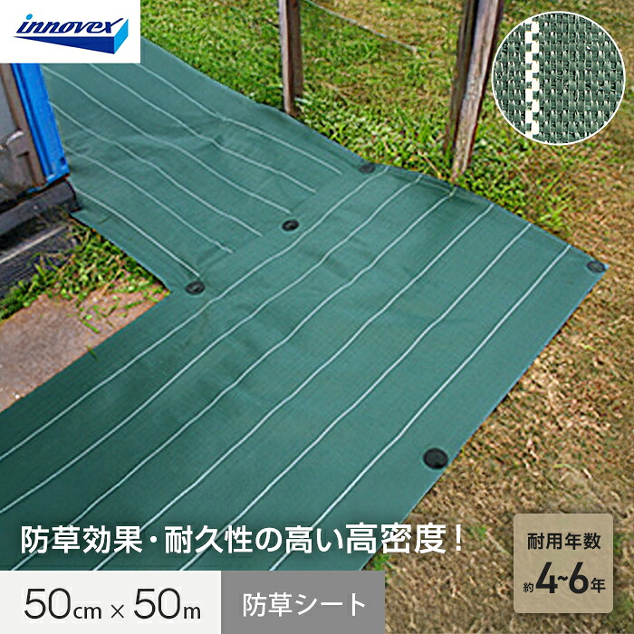 新着知らせ