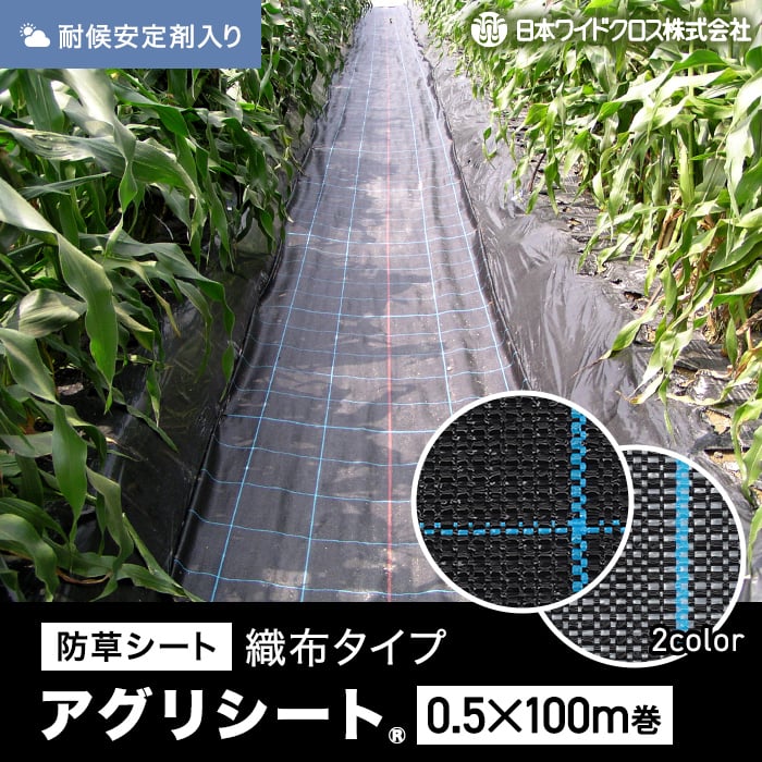 新着音沙汰