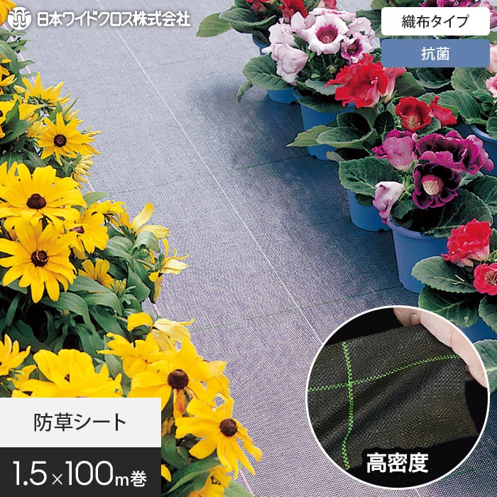 新着知らせ