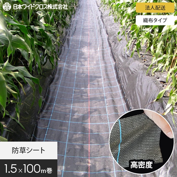 新着知らせ
