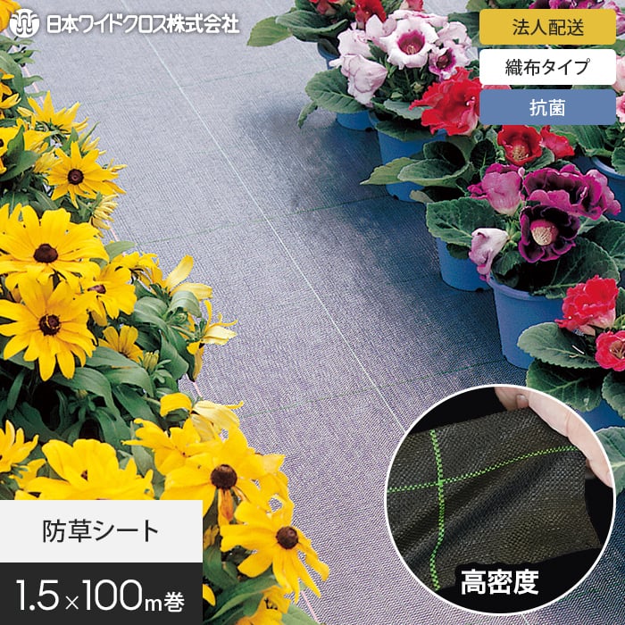 新着音沙汰