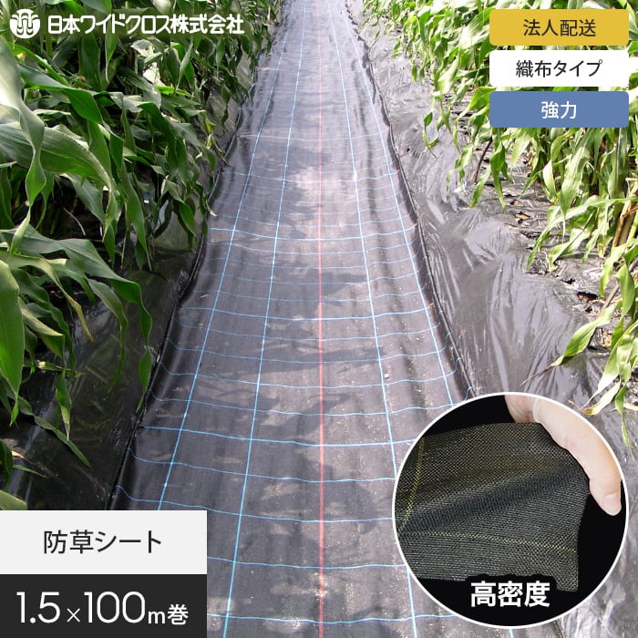 新着知らせ