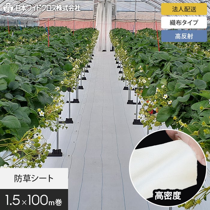 新着音沙汰