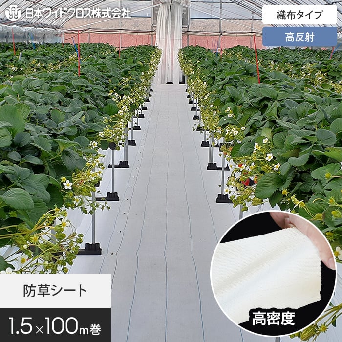 新着音沙汰