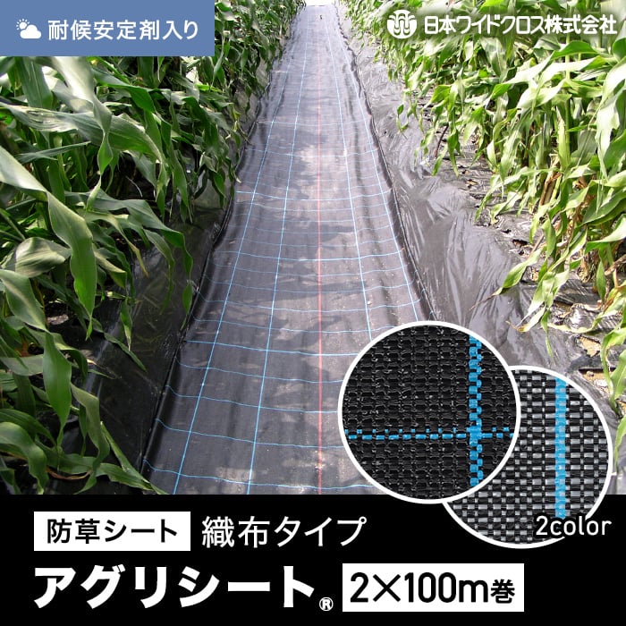 新着知らせ