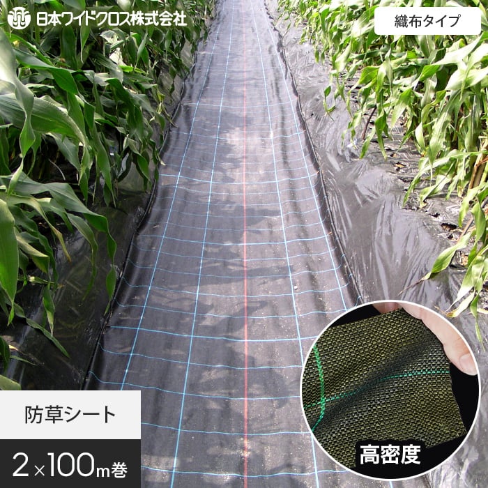新着知らせ