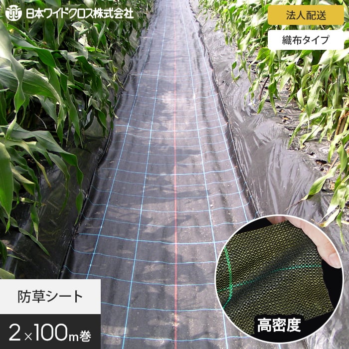 新着音沙汰