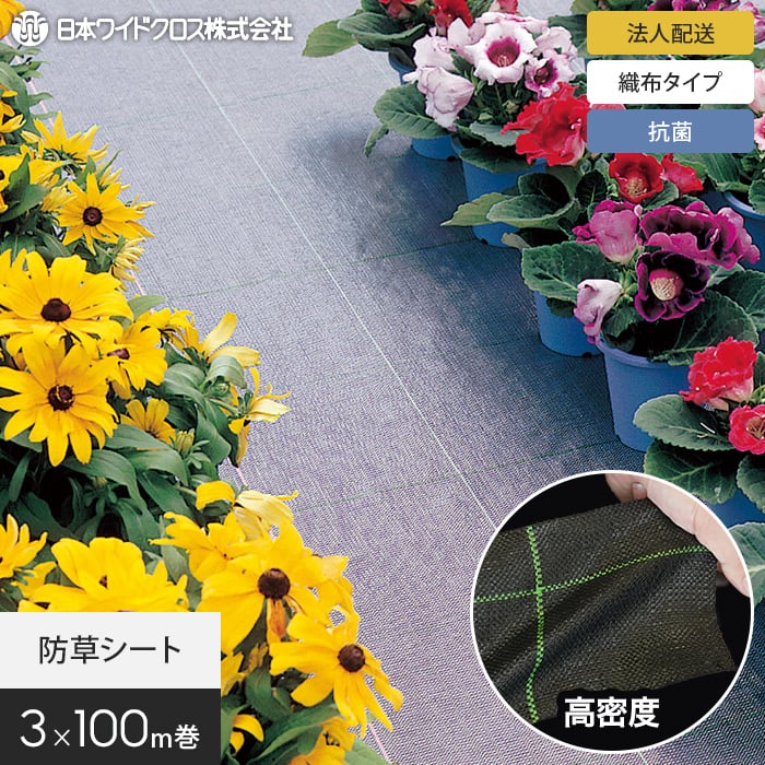 新着知らせ