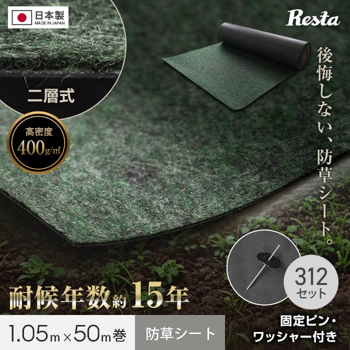 新着音沙汰