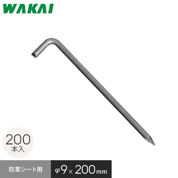 新着音沙汰