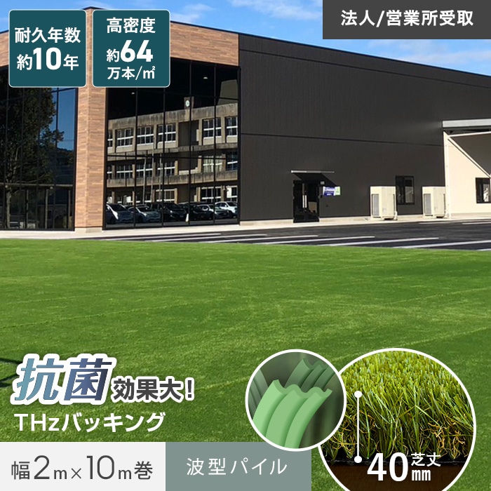 新着知らせ
