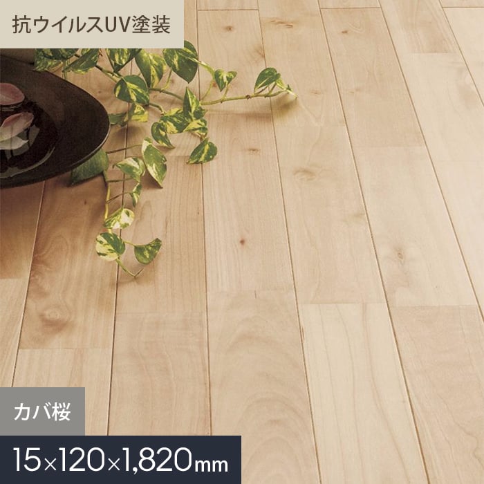 【無垢フローリング】カバ桜 ユニ 抗ウイルスUV塗装 無垢フローリング 120 S__mkf02-014|DIYSHOP RESTA リスタ 店