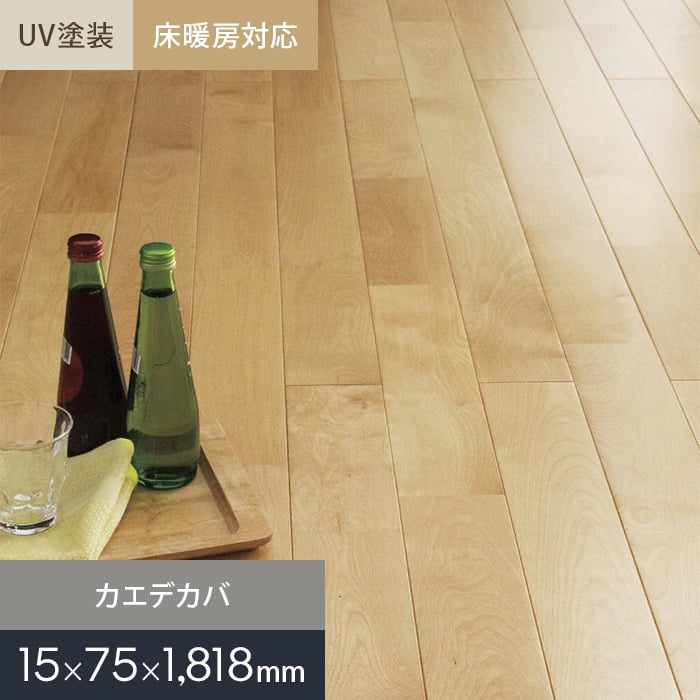 新着音沙汰