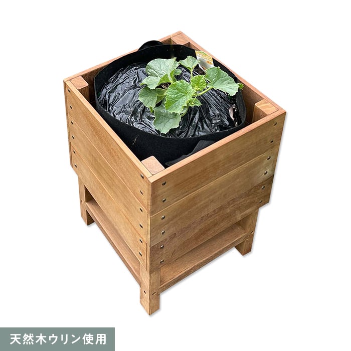 新着知らせ 植木鉢・プランター-プランター-ガーデニング・農業