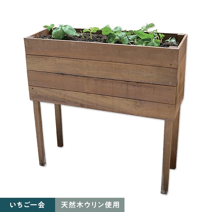 新着音沙汰