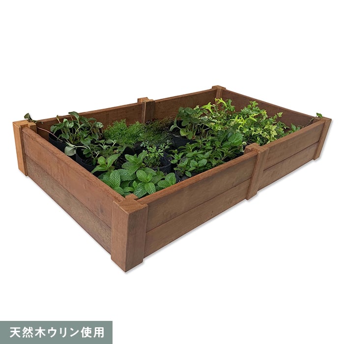 新着音沙汰