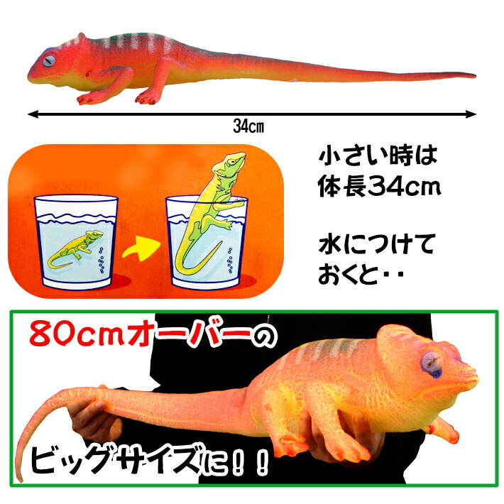 楽天市場 あす楽 グロウ リザード 全4色 水で成長する トカゲ 爬虫類 動物 アニマル トイ おもちゃ 膨らむ 成長 巨大化 おもしろ ビックリ 特大 Big ビッグサイズ 80cm以上 かっこいい フィギュア インテリア Grow Lizard Foothill Gardens