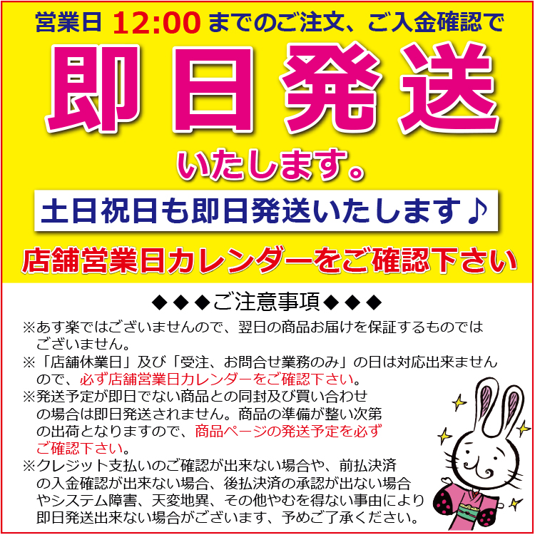 市場 和装ブラジャー 補整パッド 下着 フロントファスナー L M S メッシュ 送料無料 補正下着 白 浴衣 メール便 和装ブラ ランキング1位