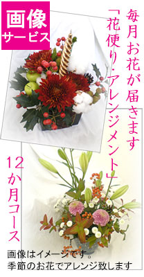 花定期便■毎月届く申し合わせ・12か月授業計画■花便り・毎月届く和風申し合わせ■月命日 会社組織受け付け 離れて暮らす花猥りがましいおっ母さんへ 御花差し上げ物 一年次毎月花を贈る 花猥りがましいお嬢さん 花サブスク サブスクリプションすがた絵客あしらい【活け花 和風花】花と器・和の花