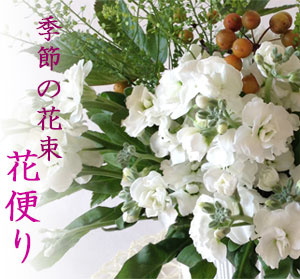 楽天市場 毎月届く花 花の定期便 月命日の花 花便り12か月コース 一年間毎月花束を贈る 花定期便 生花 記念日に花束 月命日の花束 フラワーサブスクリプション毎月花を贈りたい 生花 生花 送料無料 和の花 和の花