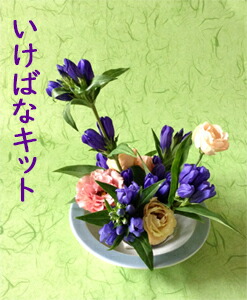 生け花後景 いけばなキット か月灯かり径 7月は竜胆の生け花 いけばなを仕懸けるなら生け花キット 生け花定期玉簡 未経験者向け華道セットねた フラワーサブスクリプション 貨物輸送無料 生花 合計の花 Hotjobsafrica Org