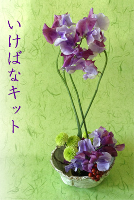 楽天市場 生け花セット いけばなキット ３か月コース 初心者も簡単 12月はスイートピーの生け花 花とレシピが届く いけ花定期便 初心者向け華道セット 毎月届く生花セット 日本の伝統文化いけばな 花材料 フラワーサブスクリプション Ikebana 送料無料 生花 和の花
