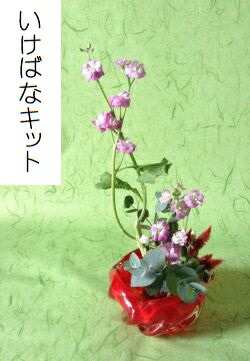 いけばな・草月流ほか花器６点セットプラケース入り いけばな・草月流ほか花器6点セットプラケース入り