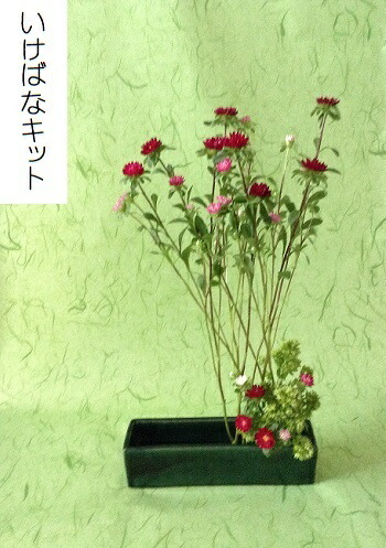 いけばな・草月流ほか花器６点セットプラケース入り 楽天市場】生け花セット・3か月コース□ いけばなキット