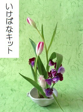 楽天市場】生け花セット・3か月コース□ いけばなキット・初心者用