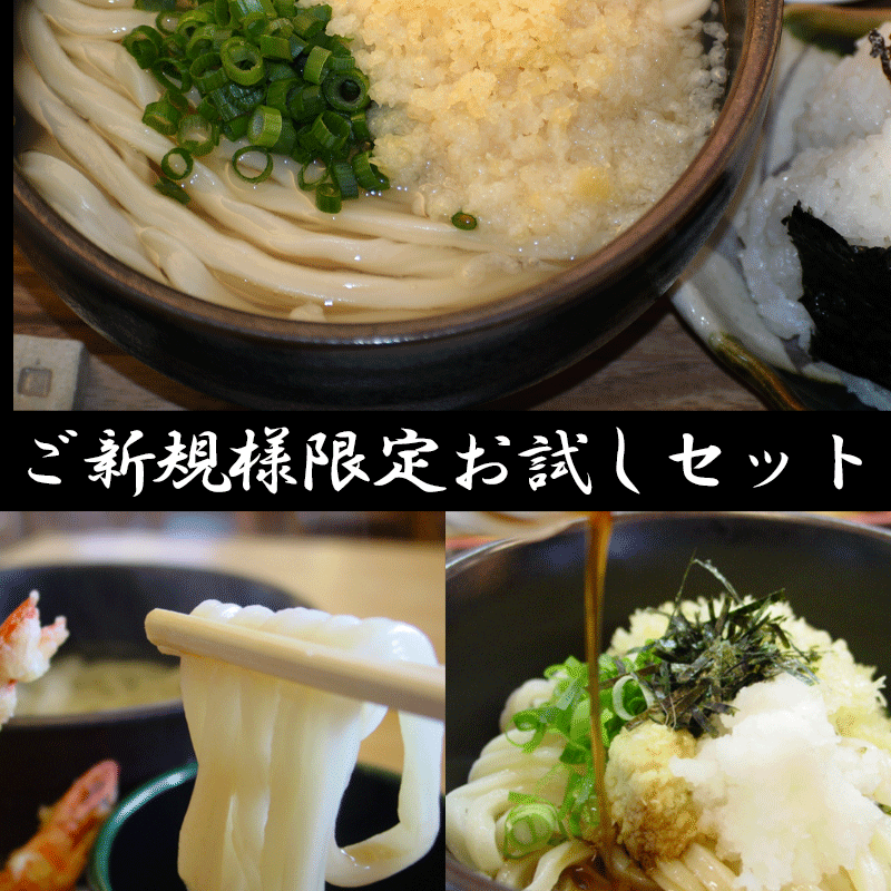 ご新規様限定！本生うどんお試しセット【本生うどん2人前×３Pかけうどんだしざる・ぶっかけだし釜上げ出汁】熨斗・包装無うどんさぬきうどん国産福袋ご自宅用グルメ父の日母の日本格麺好き北海道産小麦本生徳島ぶっかけかけうどんざる釜揚げ