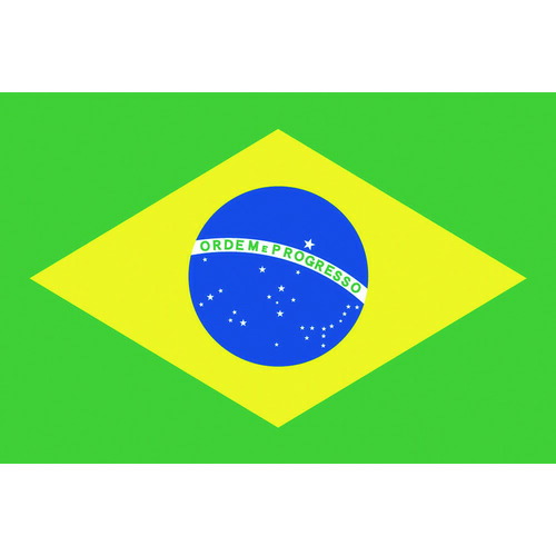 日本の首都製旗 少尉No.1（70×105珊） ブラジル連邦共和国