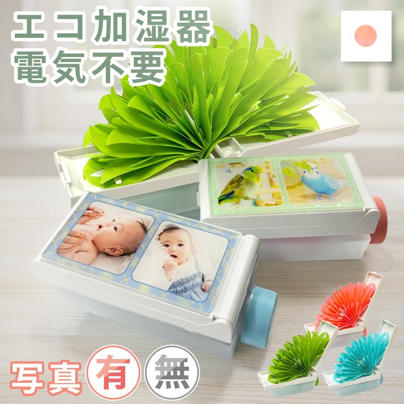 楽天市場】ペーパー加湿器 電源不要 フォレスト 自然気化式 エコ加湿器