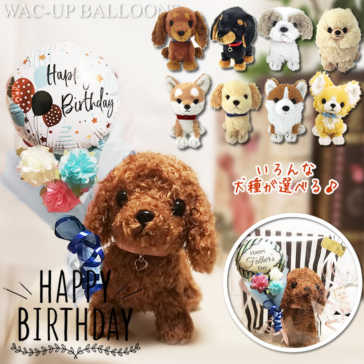 誕生日 プレゼント バルーン電報 犬 チワワ トイプードル ダックス ポメラニアン ゴールデンレトリバー 柴犬 誕生日ソーダバルーン花束付ぬいぐるみpupsミニバルーン 最初の