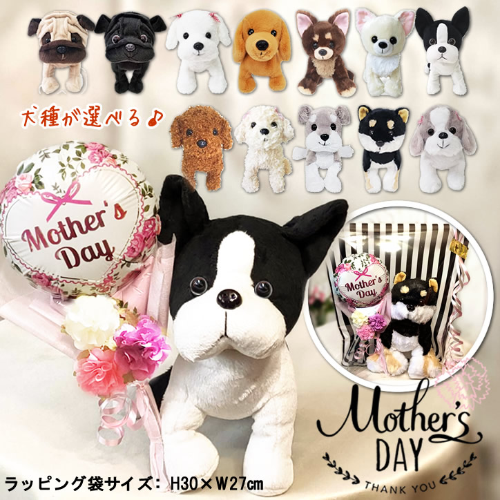 楽天市場】母の日 プレゼント 花束 カーネーション ブーケ 犬 ボストン