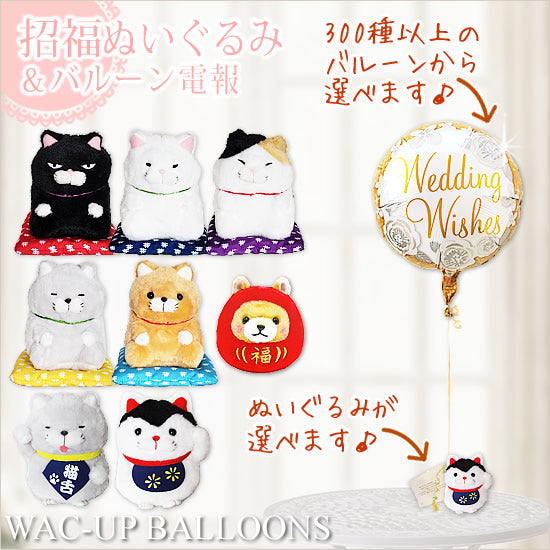 幸運 招き猫 だるま 犬 猫 犬 かわいい 結婚式 バルーン電報 誕生日プレゼント 出産祝い 入学祝い 卒業祝い 合格祝い 祝電 贈り物 開店祝い 開院祝い 新築祝い 選べるひげまんじゅう招き猫&正座&あみゅだるまのぬいぐるみが運ぶワンバルーンセット