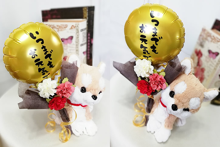 敬老の機会 配り物 チワワ 玩弄物プードル ダックス ポメラニアン レトリバー 柴犬 いつまでもお幸福でミニ風船 胸花ラッキー犬児のぬいぐるみパプスセット Hotjobsafrica Org