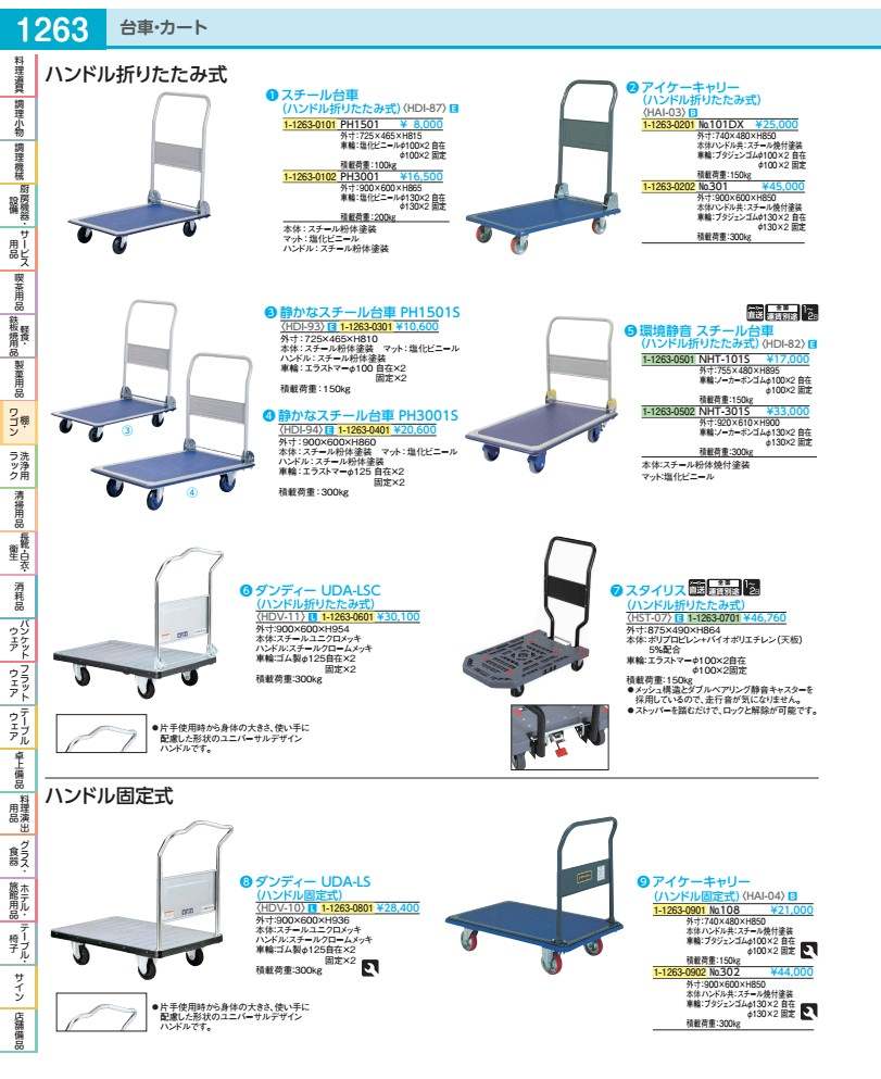 アイケーキャリー No.３０２ HAI04302