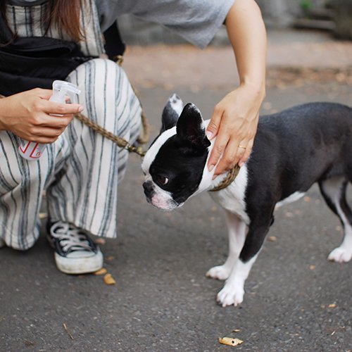 Wafona 犬 犬用 おさんぽグッズ 1ml 猫兼用 アウトドアボディケアスプレー 業務用 4000ml 紫外線対策 猫用 セット