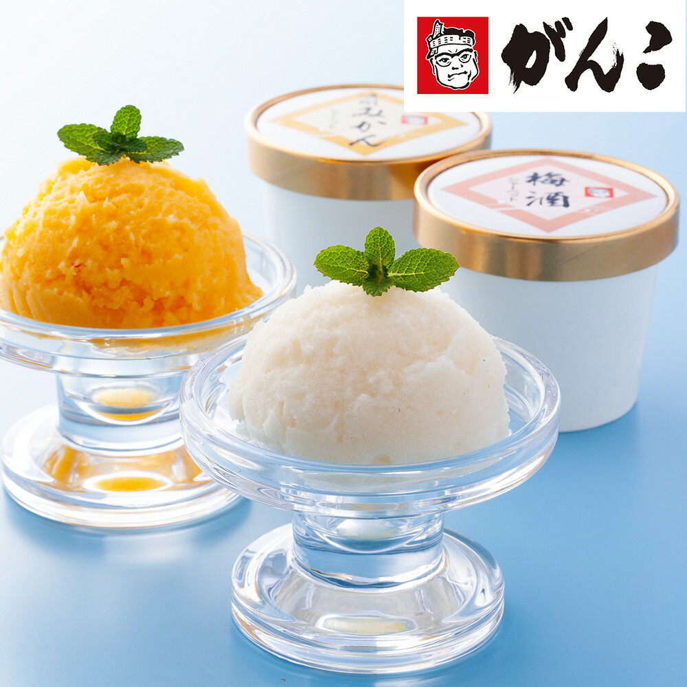 大阪 がんこ 紀州のシャーベットセット 送料無料 温州みかん 梅酒 お取り寄せ 通販 お土産 お祝い プレゼント ギフト おすすめ 全品送料無料 ご当地グルメをお取り寄せ 2人は中国 ゲームソフトのプログラムの設 Cpcbahamas Gov Bs