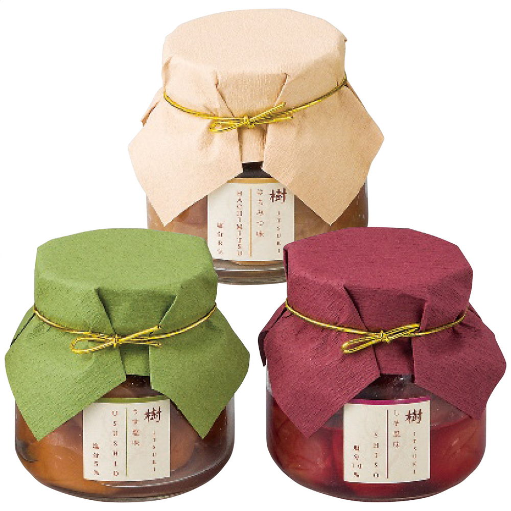 お中元 酸桃路次 紀州南高梅 樹木 7240 024 貨物輸送無料 お取り寄せ メイルオーダー おスーヴェニア お祝宴 与え 贈り物 おすすめ Ladylibertybrands Com