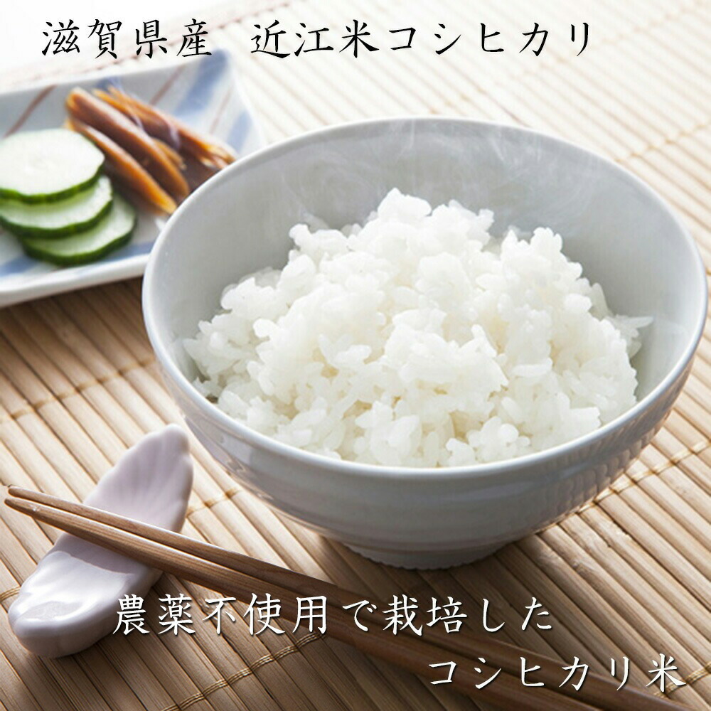 楽天市場】無農薬 分つき米 玄米 無化学肥料米 米10kg (5kg×2