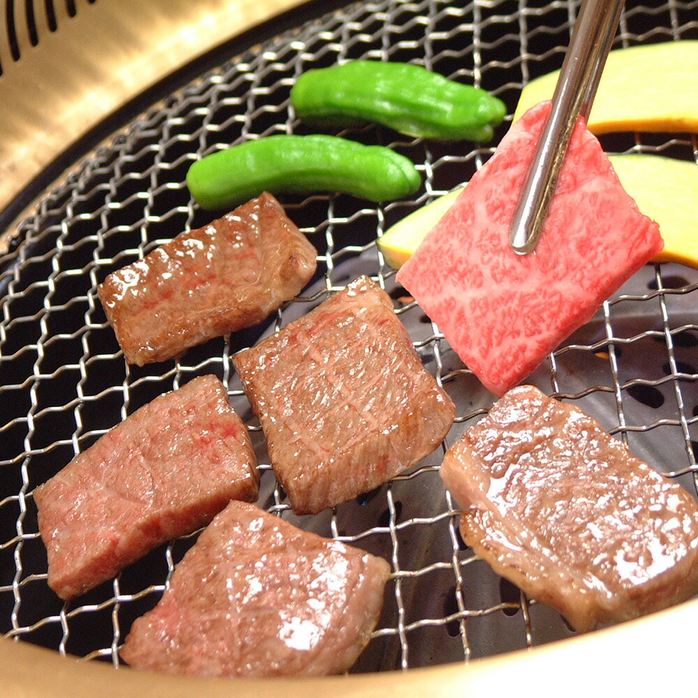 岐阜 ＪＡひだ 飛騨牛肩ロース焼肉用 500g 牛肉【送料無料】 / お取り寄せ 通販 プレゼント ギフト おすすめ /