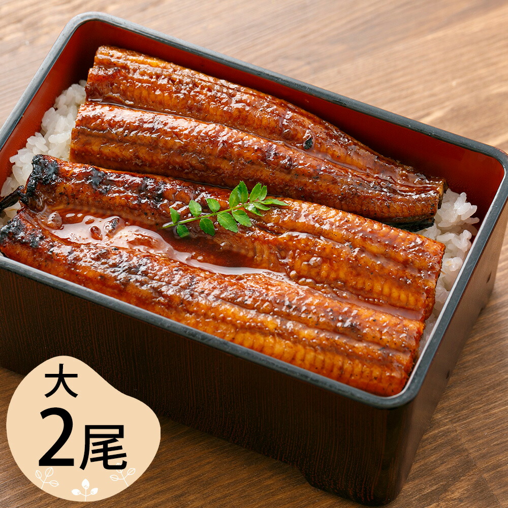 うなぎ 鰻 四万十うなぎ 蒲焼 (大) 2尾セット【送料無料】【二重包装不可】 / お取り寄せ 通販 プレゼント ギフト おすすめ /