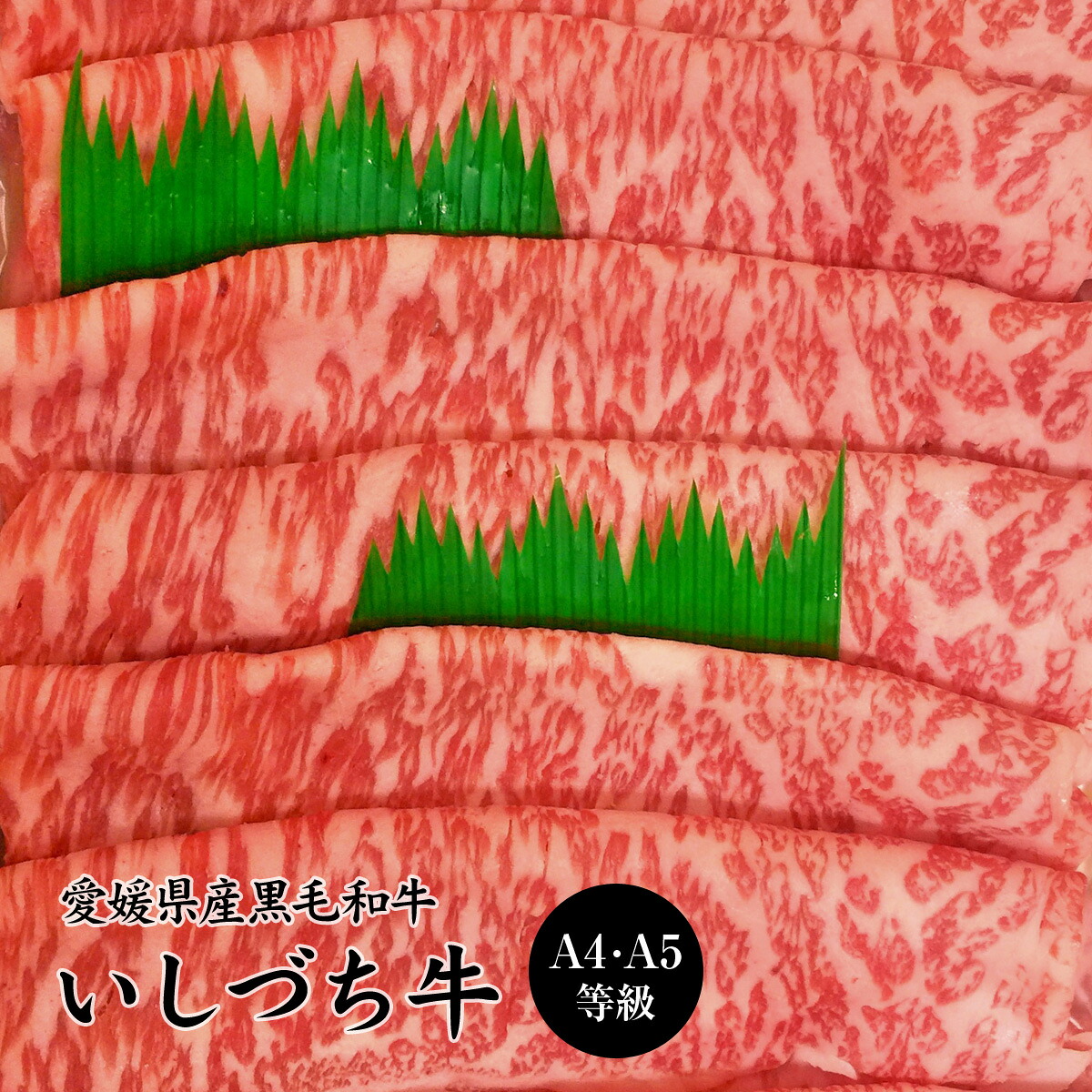 愛媛県産いしづち牛 厳選！ 雌 黒毛和牛 サーロイン すき焼きセット 約500g A4-A5等級 【送料無料】 / 黒毛和牛 ブランド牛 和牛 国産 お取り寄せ 通販 お土産 お祝い プレゼント お中元 ギフト おすすめ /｜わが街とくさん店