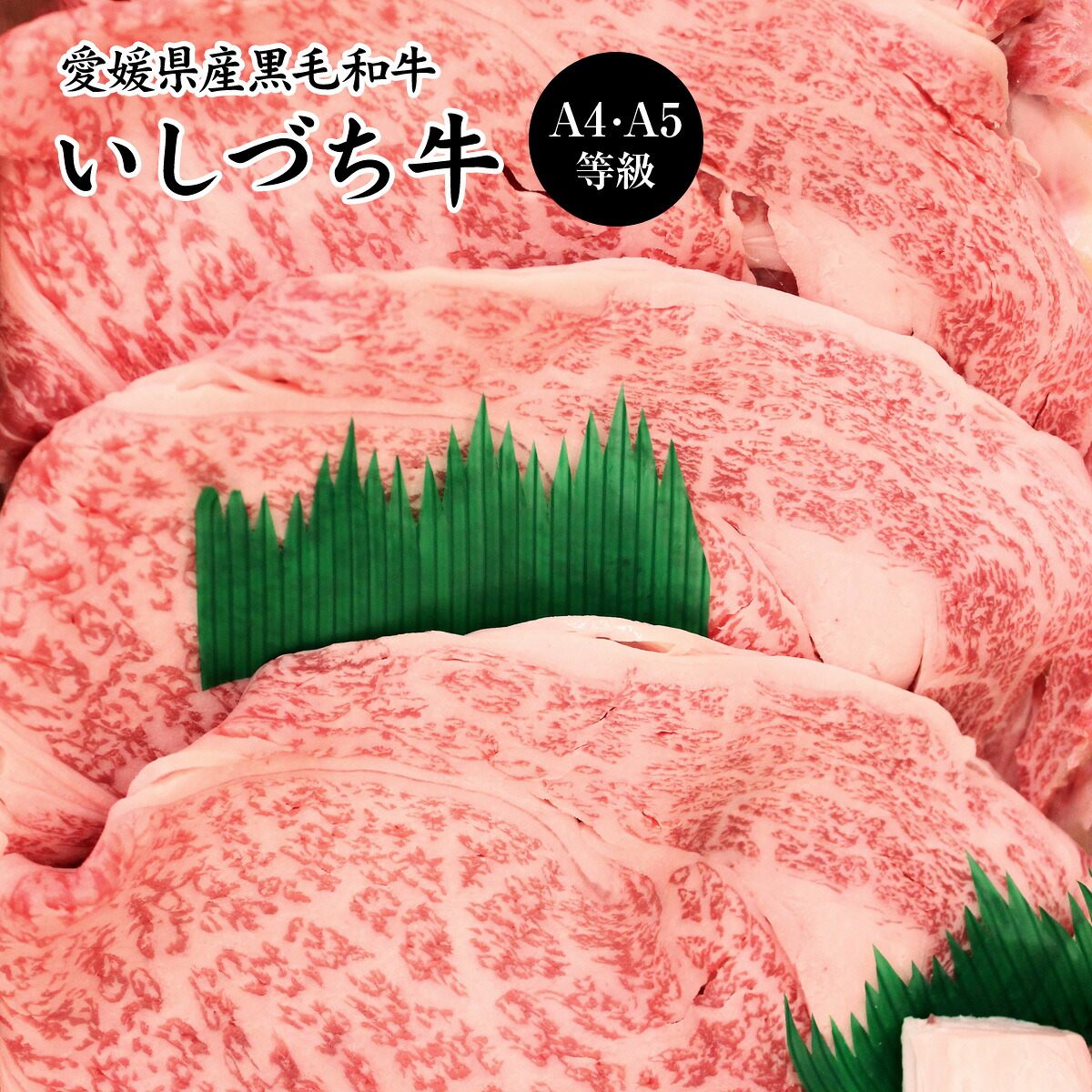 愛媛県産いしづち牛 厳選! 雌 黒毛和牛 リブロース しゃぶしゃぶセット 約490g A4-A5等級 【送料無料】 / 黒毛和牛 ブランド牛 和牛 国産 お取り寄せ 通販 お土産 お祝い プレゼント ギフト おすすめ /