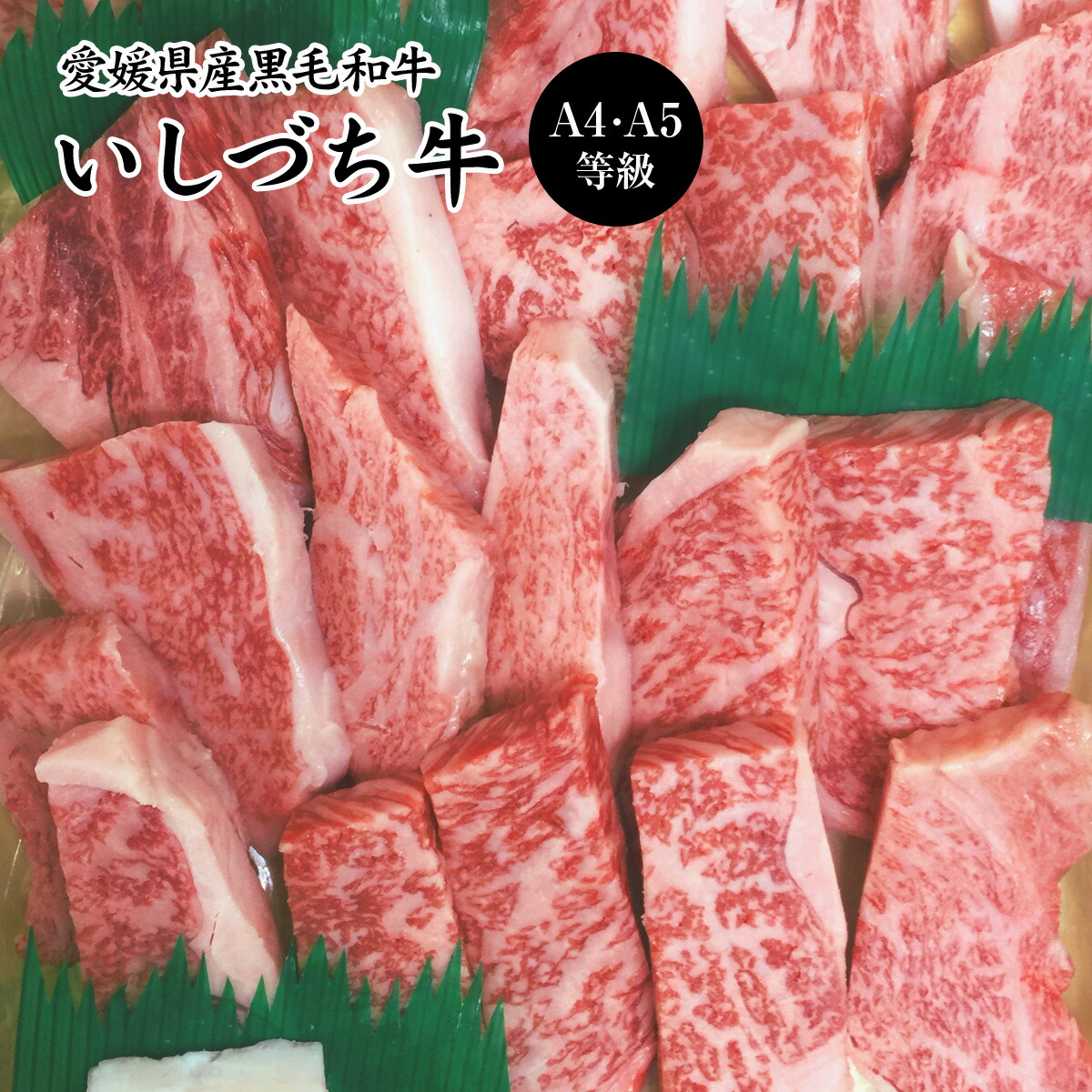 本店は 愛媛県産いしづち牛 厳選 雌 黒毛和牛 リブロース 焼肉セット 約490g A5等級 黒毛和牛 ブランド牛 和牛 国産 お取り寄せ 通販 お土産 お祝い プレゼント ギフト 母の日 おすすめ わが街とくさん店 史上最も激安 Neweurasia Info