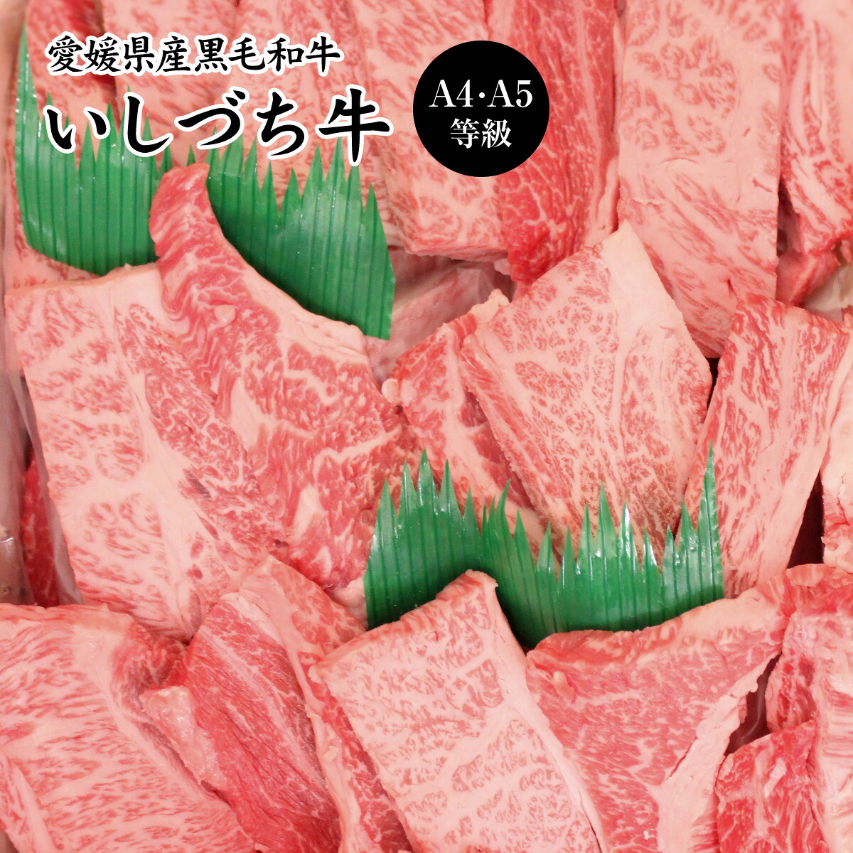【店内P5倍】愛媛県産いしづち牛 厳選！ 雌 黒毛和牛 肩ロース 焼肉セット 約550g A4-A5等級 【送料無料】 / 黒毛和牛 ブランド牛 和牛 国産 お取り寄せ 通販 お土産 お祝い プレゼント ギフト おすすめ /