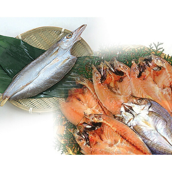 【店内P5倍】長崎真あじ・かます一汐干し 【送料無料】 / 魚 干物 幻のアジ 一夜干し かます お取り寄せ 通販 お土産 お祝い プレゼント ギフト おすすめ 保存食 非常食 備蓄 /