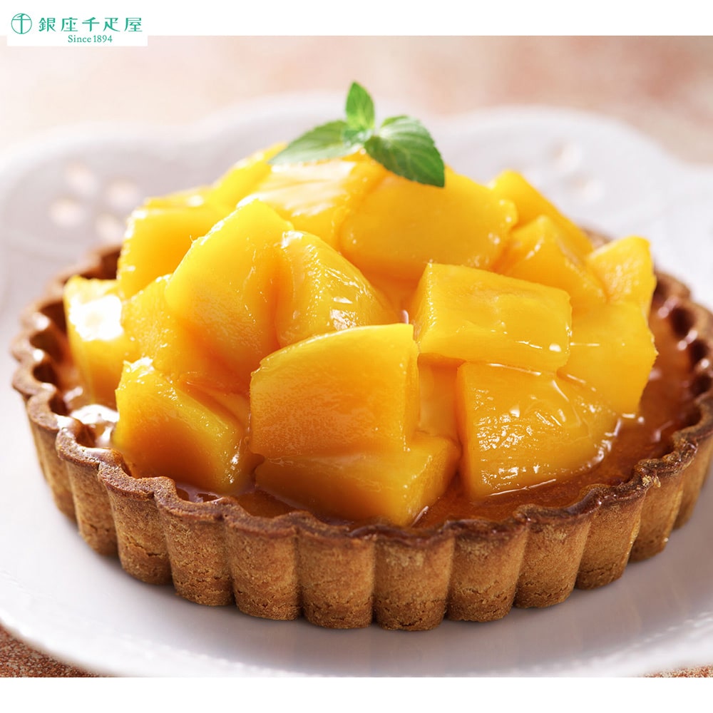 トロイカ 冷凍 ベークドチーズケーキ 7号 21センチ 九州・沖縄送料別