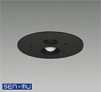 ＤＡＩＫＯ 無線電話用検出器 人感・昼光検出器 黒 LSM-BSR02